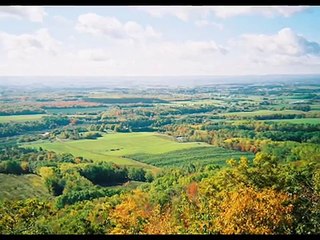 Gary Moore - No Reason To Cry