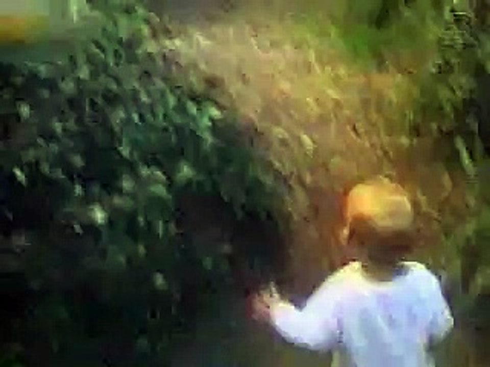 cat attack to a child