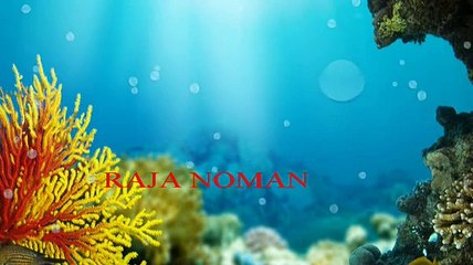 Main Madina jaon ga. Naat