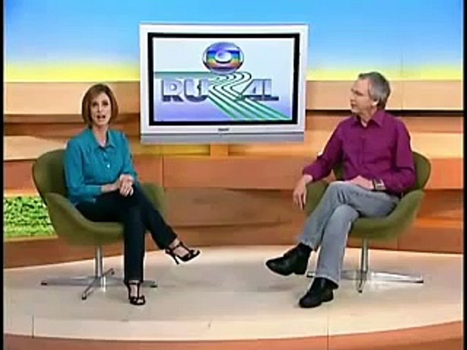 Conheça uma das maiores fazendas de caju do Brasil - Globo Rural