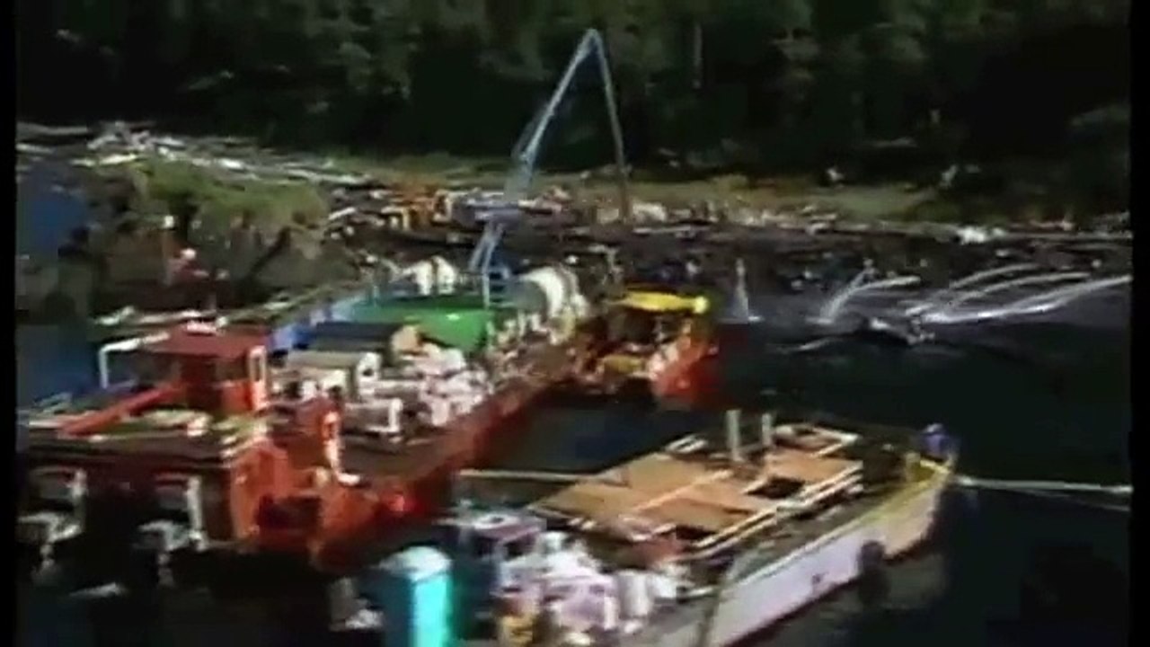 Exxon Valdez Oil Spill