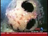 CNN: Help save the coral reefs