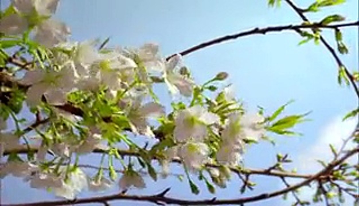 Planet Earth- Amazing nature scenery, amazing videos, funny videos, entertainment videos,