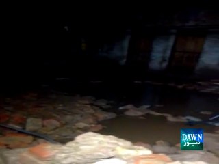 Forest degradation causes of torrential rain in Peshawar: Met office