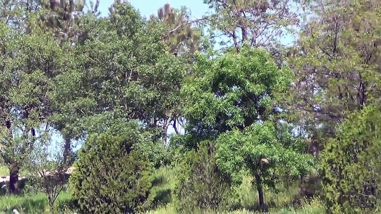 Kemalli Köyü Tanıtım Videosu