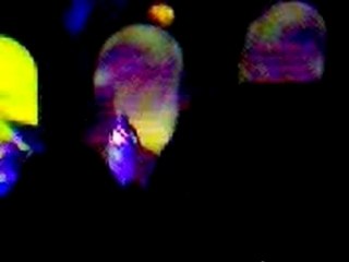 I Muvrini - Di quale sì l'amore