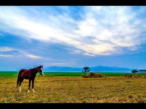 Tarbela Lake Haripur by CXAbbasi (Kun FayaKun)