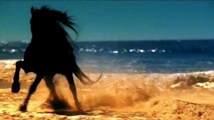 Gipsy-Kings Viento Del Arena