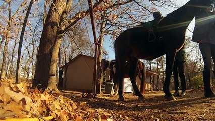 GoPro- A horse riding experience