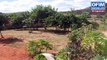 Vente Maison / Villa ANTANANARIVO (TANANARIVE) - Madagascar - Résidence secondaire ou maison de campagne: une maison base F5 sur un terrain de 3800 m2 au PK 23 RN4 vers mahajunga