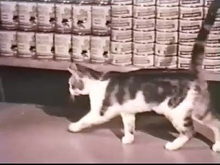 Puss n Boots cat food commercial