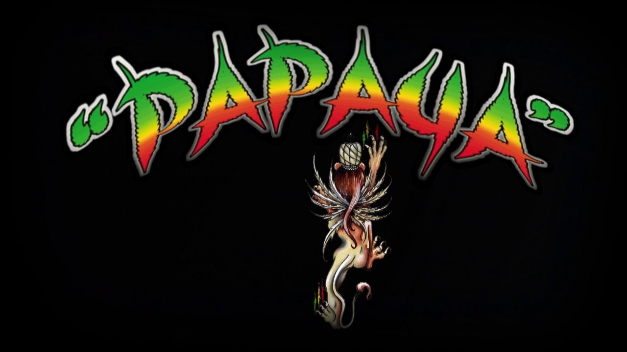 ZYK ZAG ZOOM - Papaya