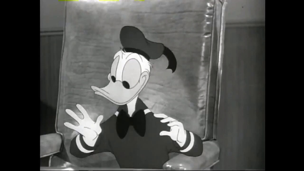 Een dag in het leven van DD 1