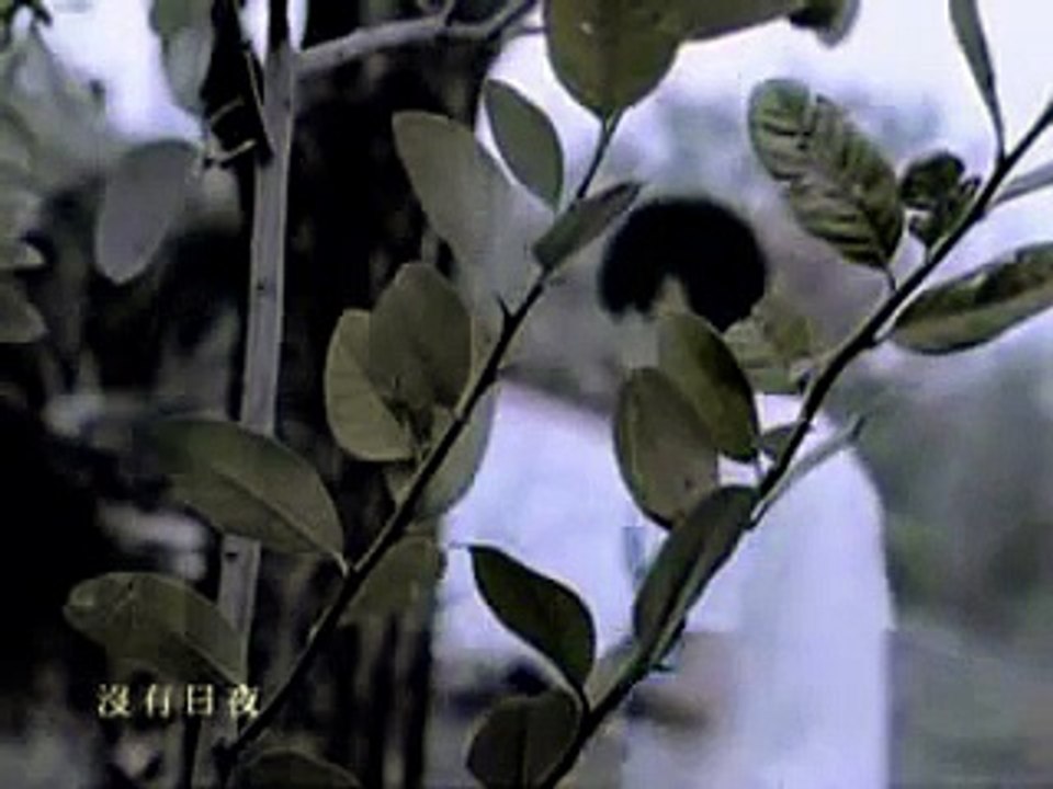 dou shi ni