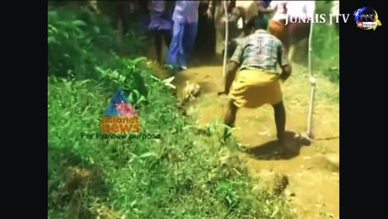 Leopard attack Human in India Compilation 2015