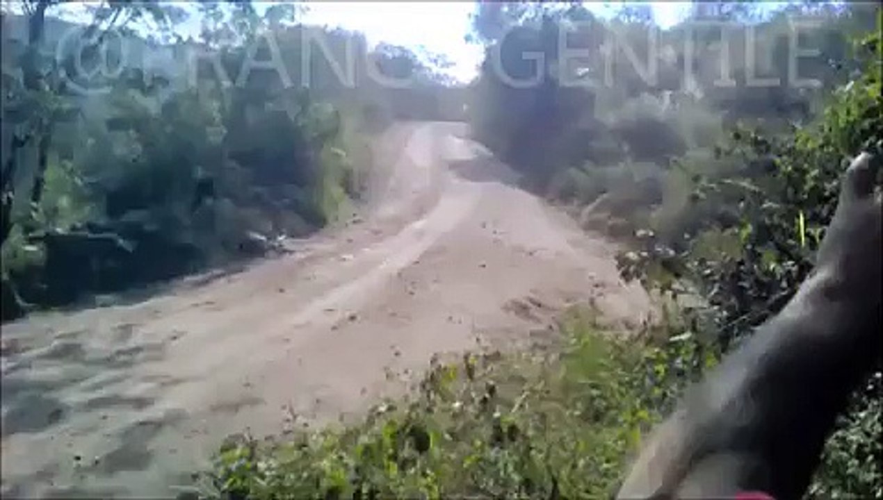 Sortie de route de David Nalbandian au Rallye d'Argentine