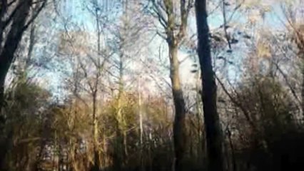 Aphex Twin - Rhubarb