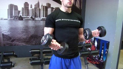 Shape Training: Les Biceps