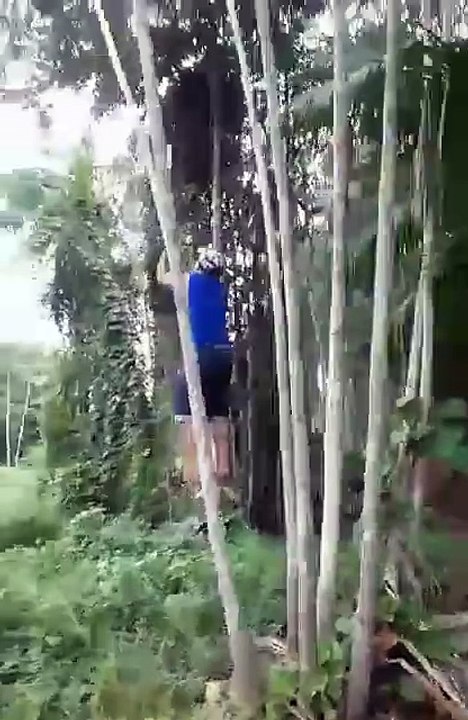 man climb bamboo