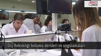 Diş Hekimliğinde Hangi Ders  ve Uygulamalar Var ?