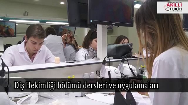 Diş Hekimliğinde Hangi Ders ve Uygulamalar Var ?