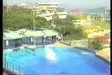 World Record Highest Dives (Randy Dickison 174'8" and Lucy Wardle (Streeter) 120'9")