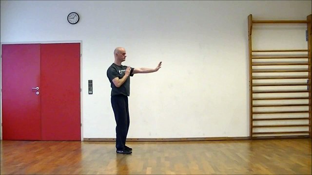 Wudang Taijiquan - nine palace step - Wudang Tai Chi Chuan