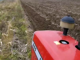 Massey Ferguson 265 com Panamericano