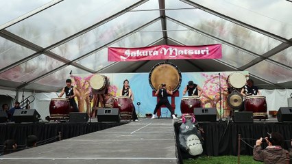 Sakura Matsuri Drummers