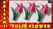 Lotus (Tulip) Flower - Origami  How To Make Paper Lotus Flower | Traditional Paper Toy