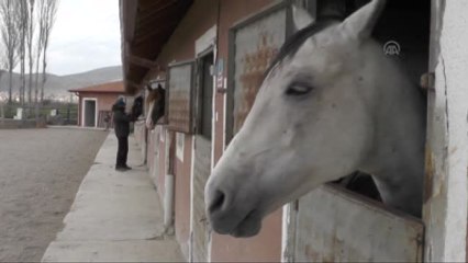 Davula Ritim Tutan At