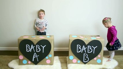Twins Gender Reveal!!