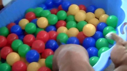 94ème vidéo Le bac à boule avec les chiots de Staffordland