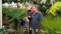 Chemins de traverse : Jardin végétal metal / mise en herbe