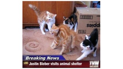 humor videos picantes