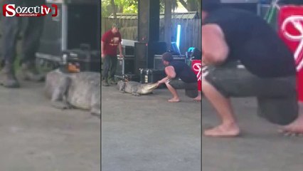 Timsahtan bakıcıya şoka sokan saldırı