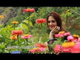Nasha Hits Gul Panra Pashto New HD Video Songs Part - 19