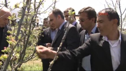 Isparta'da Tarım Arazilerini Don Vurdu