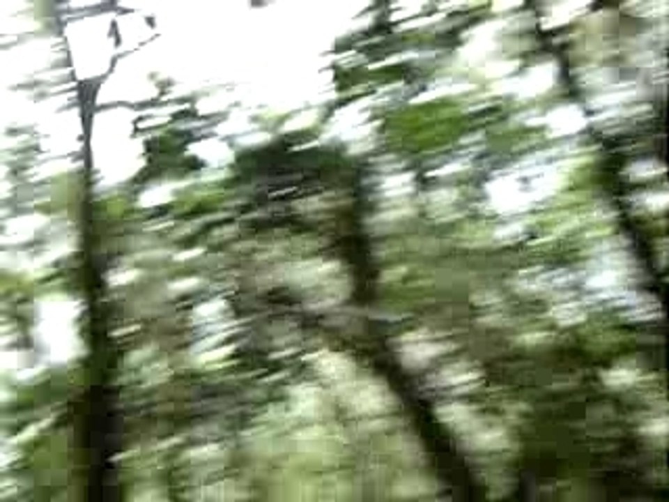 La montée rando Salazie