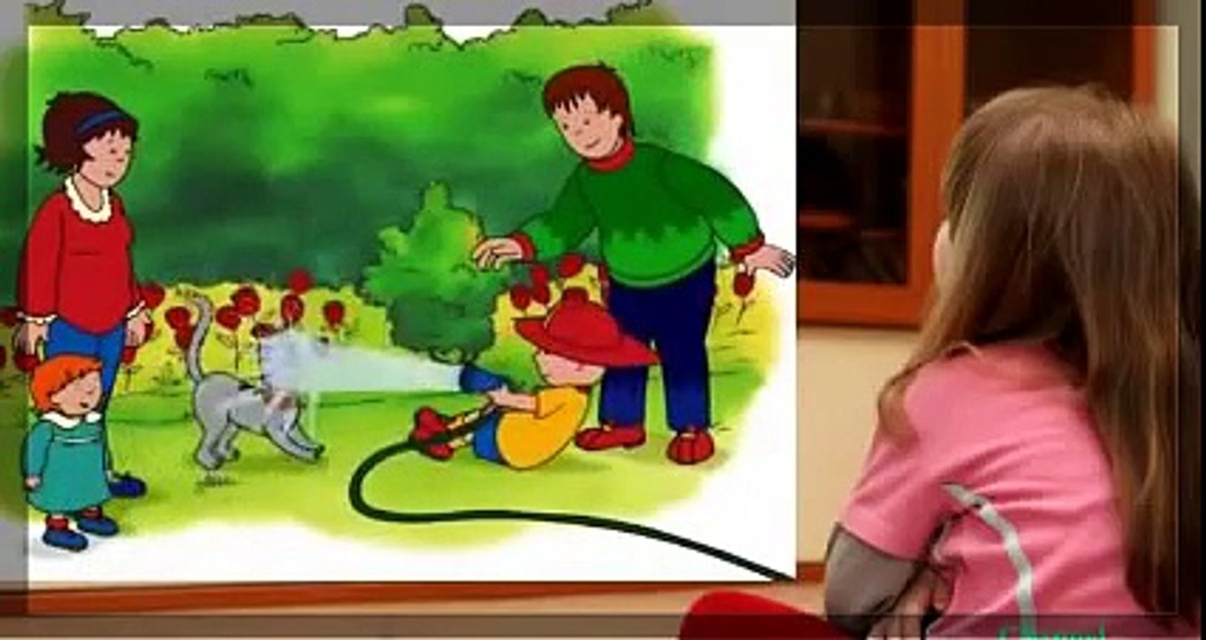 Caillou Français 2014 Les Nouvelles Aventures de Caillou