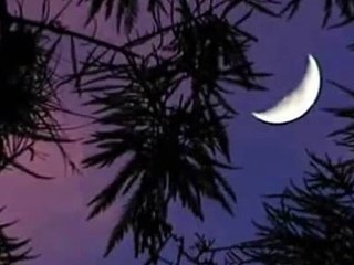 Claro de Luna - Beethoven