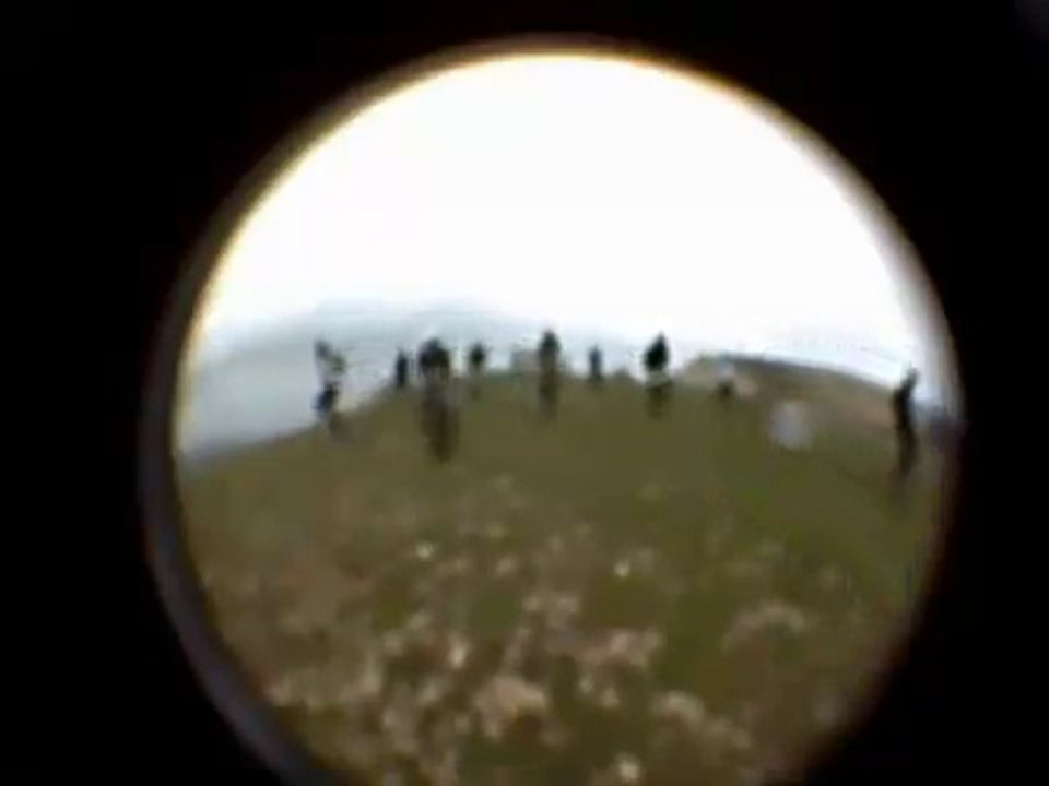 2009-mono Lure