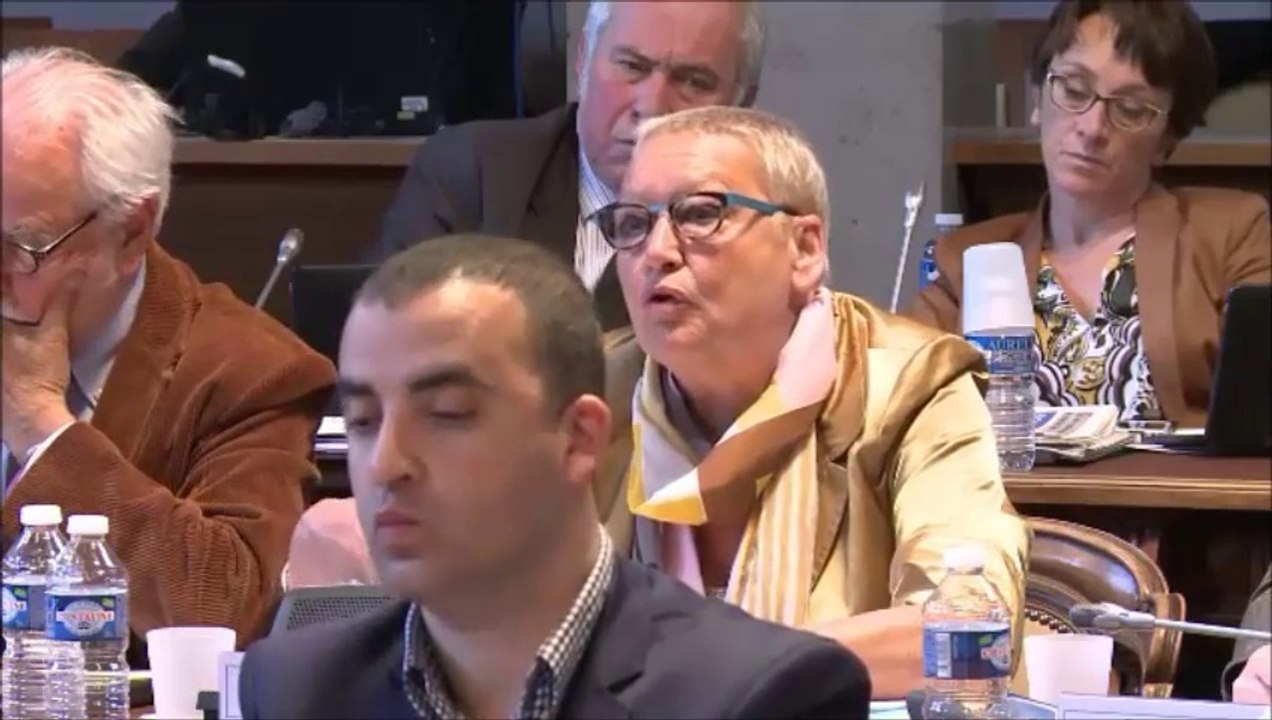 Voeu sur la carte scolaire. Explication de vote. Session du 24 avril 2015