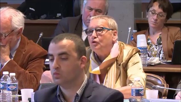 Voeu sur la carte scolaire. Explication de vote. Session du 24 avril 2015