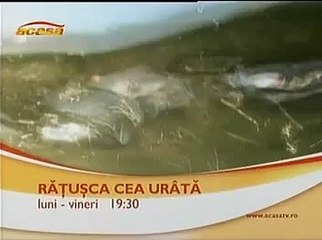 FERNANDO COLUNGA invita a ver "Pasión" en Rumanía por AcasaTV