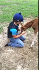 CUTE! Baby Horse Surprises Little Girl With Warm Hug