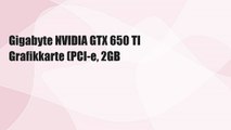Gigabyte NVIDIA GTX 650 TI Grafikkarte (PCI-e, 2GB