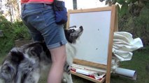 Splash learns to draw a circle - dog training smartest tricks