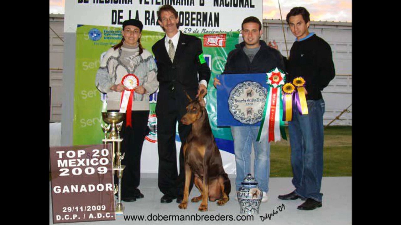 PERROS AL AIRE 28 DE  MARZO DEL 2015