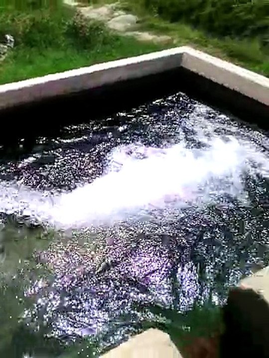 Roshan Energy solar tube well At Lodhran